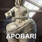 APOBARI - Associa&ccedil;&atilde;o Portuguesa dos Bari&aacute;tricos