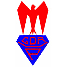 Grupo Desportivo e Recreativo de Paranhos