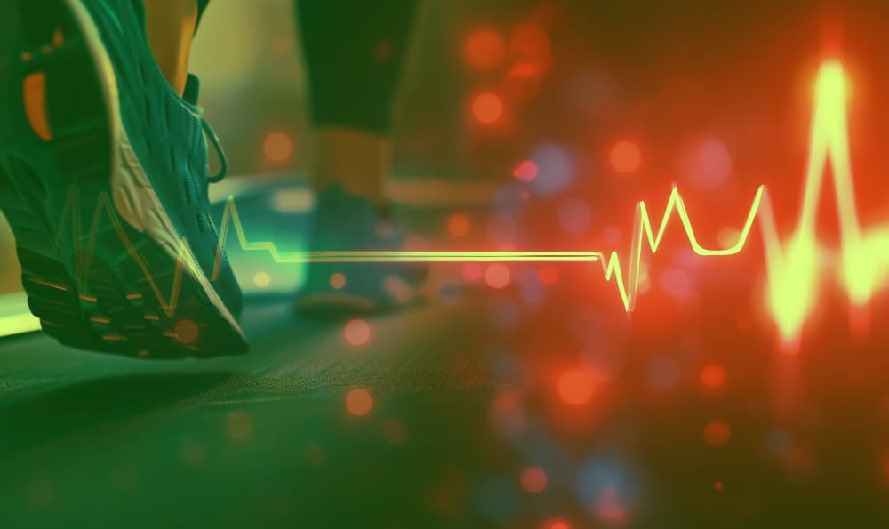 Novo exame de cardiologia - Ecocardiograma de Esforço ou de Exercício sem Recurso a Fármacos